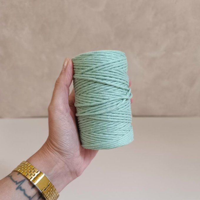 lot de 5 cordes de coton peigné Bobbiny 1.5mm (légèrement utilisées)